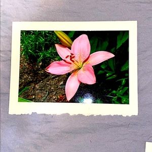 Handmade Flower Blank Cards Rustic Style🦋🌺